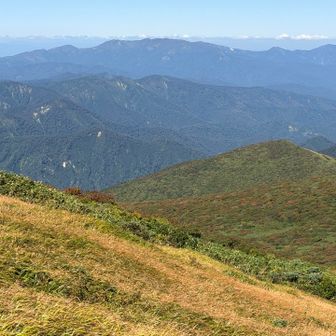 山頂間際の分岐から
色付いて来た草紅葉と焼石岳