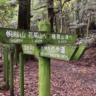 権現山へ向かいます。楽な道で、右➡️へ向かいます。