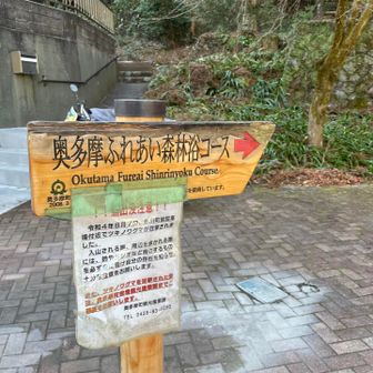 熊がいませんように。