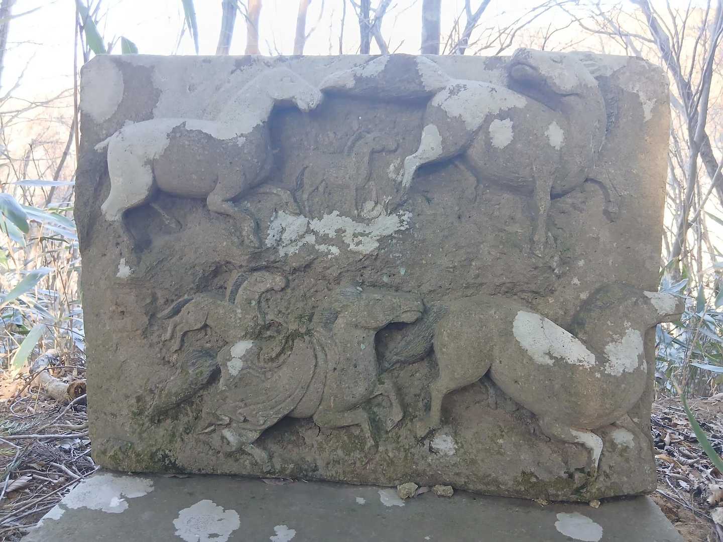 🐴彫られいるみたいだね