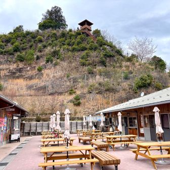 唯一、ラーメン🍜屋さんだけは営業していたけど、ラーメン気分ではないので、
仕方がなく上の展望台までフテ歩き🚶〰️