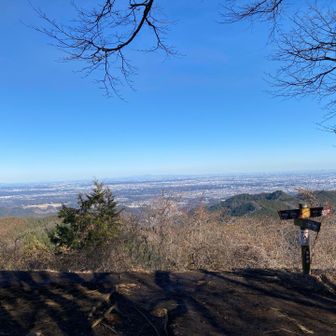 景信山は日本晴れ
関東平野を一望