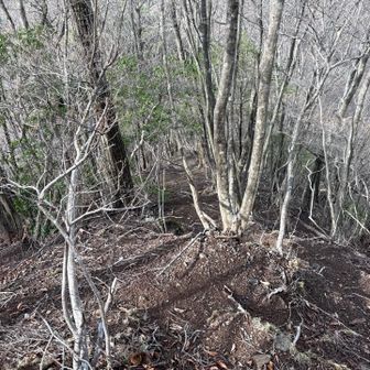 正しい尾根を見つける