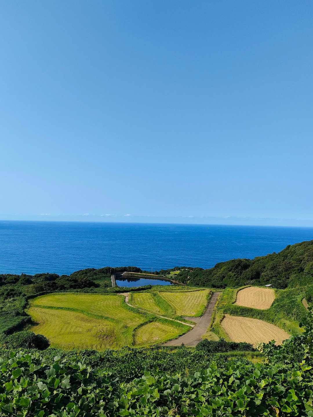高頭山-みのが峠-雨乞岳 周回コースの写真