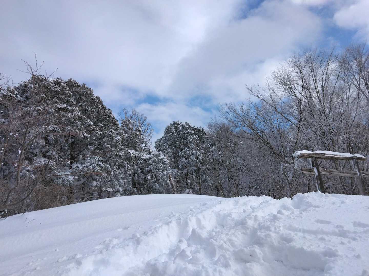変わる時が来てる？
もう来てるのかも知れないな♪