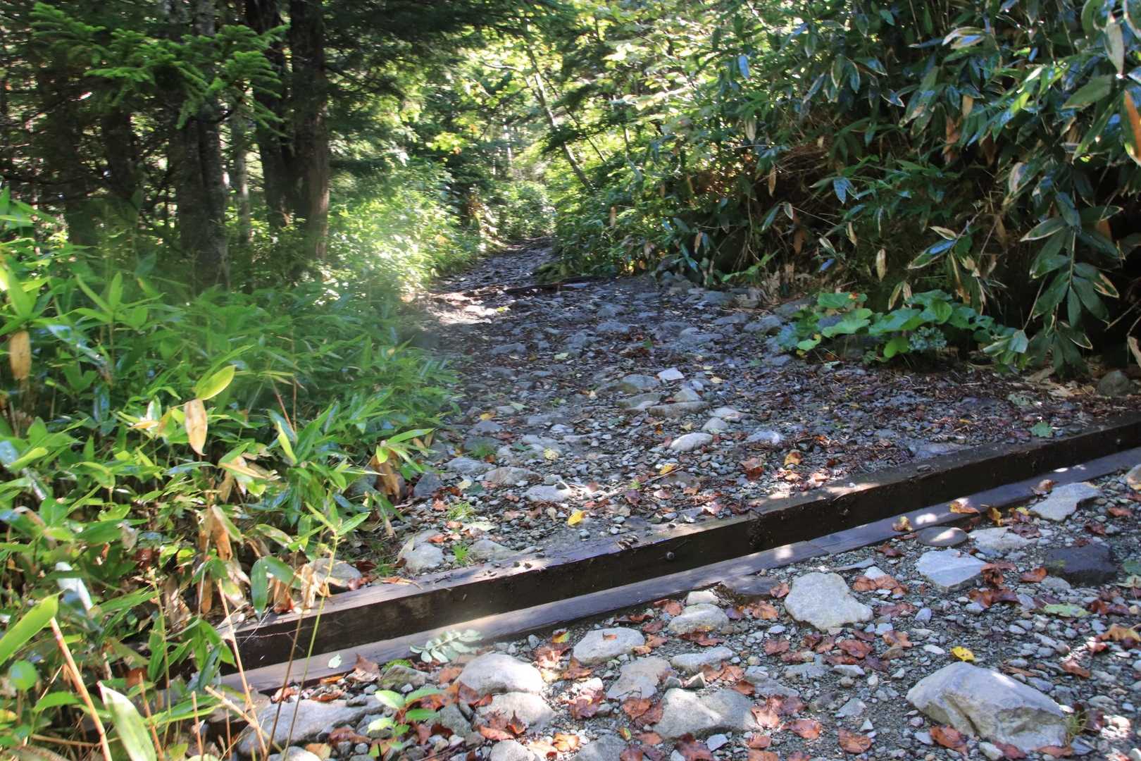 池めぐりコースは道の整備もバッチリ♪　
下山時にも整備の方々いました🙏