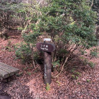 峠歩きになってきた