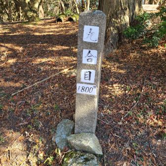 九号目🗻
あと少し～‼️