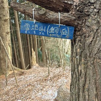 『雪池山』（せっちさん）登頂💨