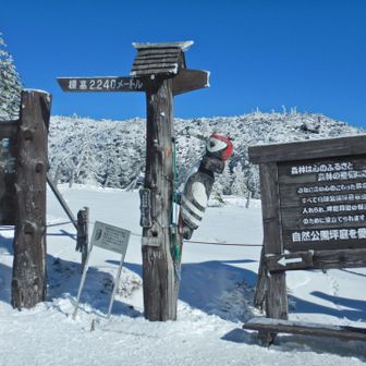 キツツキと再会
早朝とは違って人が沢山✨