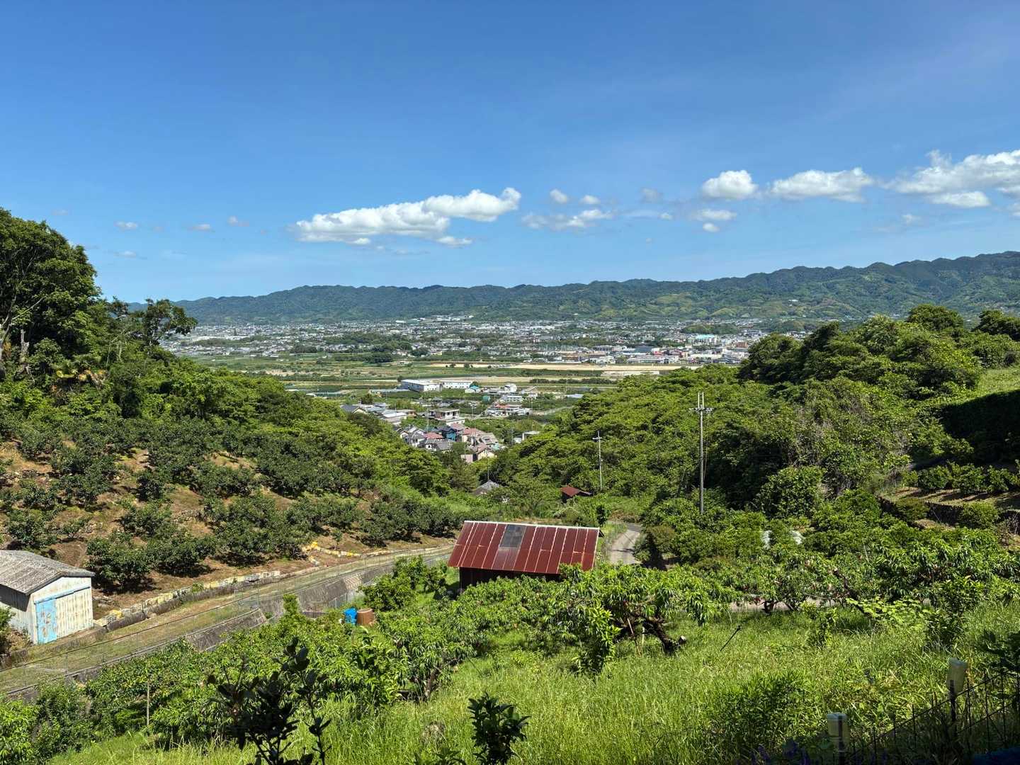 田代峠-龍門山 周回コースの写真