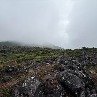 散策
朝は晴れてたのに