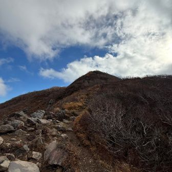 鳥海山へ
