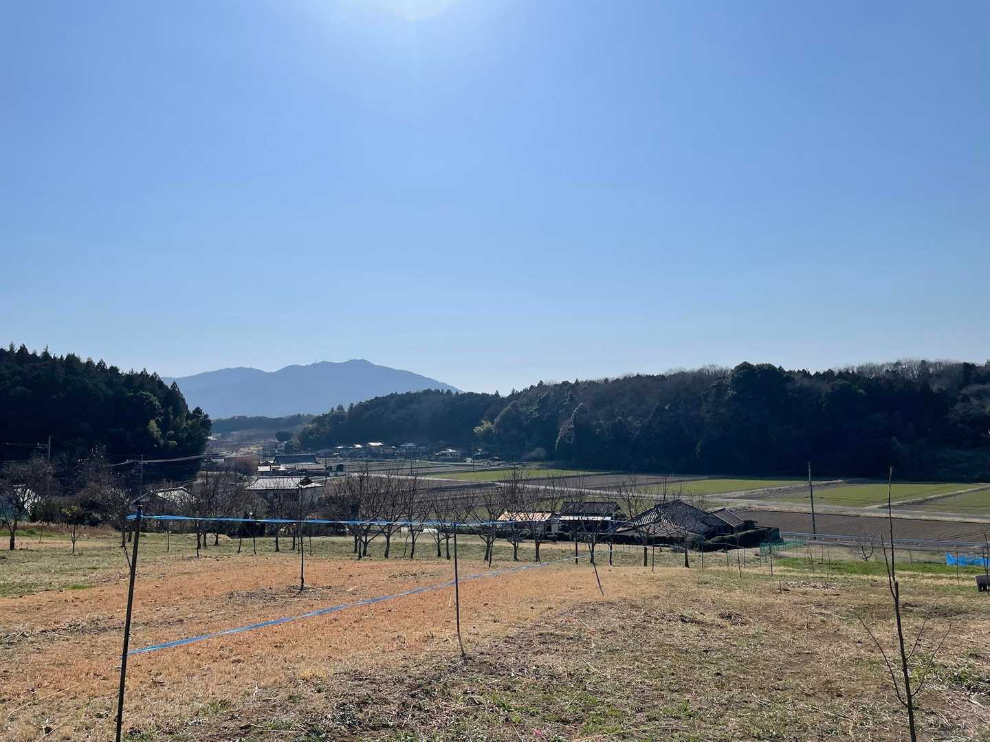 のどかな景色😊良いね〜