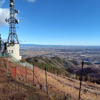 埼玉TVの電波塔