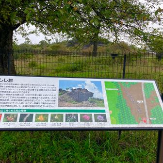 駐車場🅿️横に獅子岩
まずここから攻略
