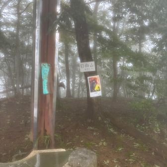 芦ヶ久保に戻る前に日向山行く？と誘われ