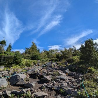 久しぶりに見る青空    気持ちいいー😊
