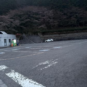 朝の駐車場🅿️