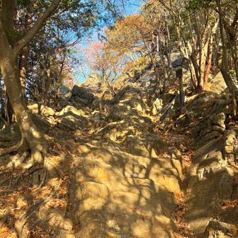 展望台手前の急登