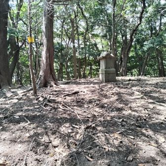 長いよく分からないまま頂上を目指して直登。