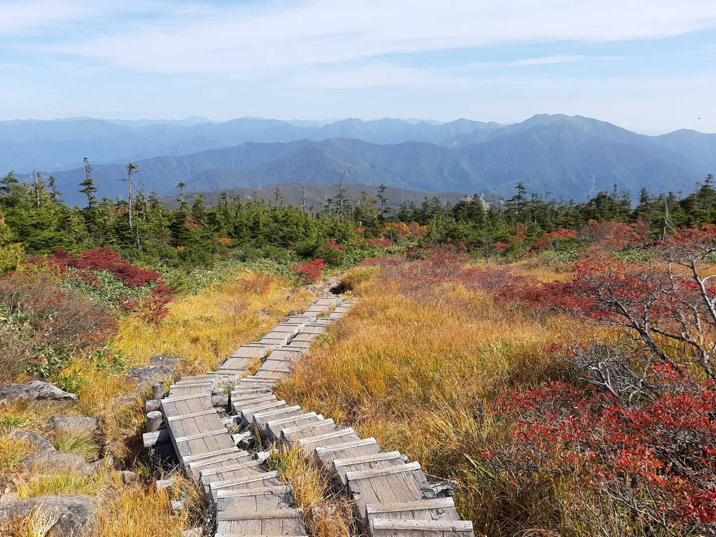 祓川登山口-山頂駅-神楽ヶ峰-苗場山 縦走コースの写真