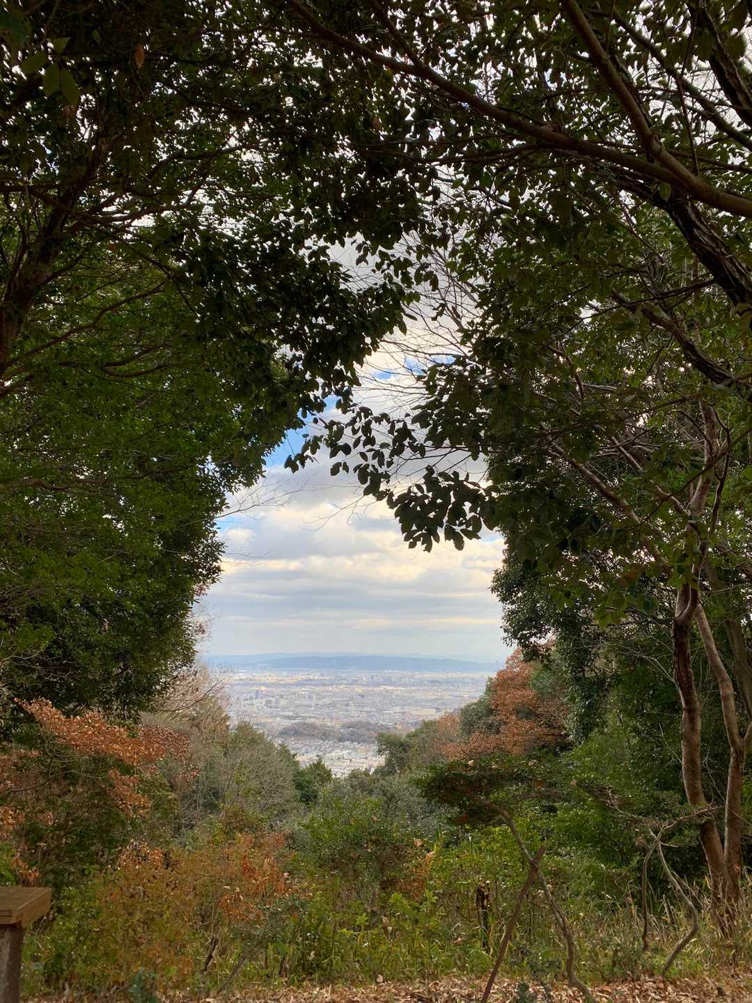 山頂より
この雰囲気いいですよね