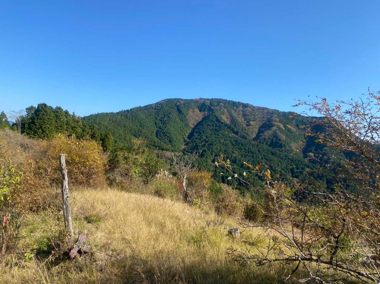 不老山の写真