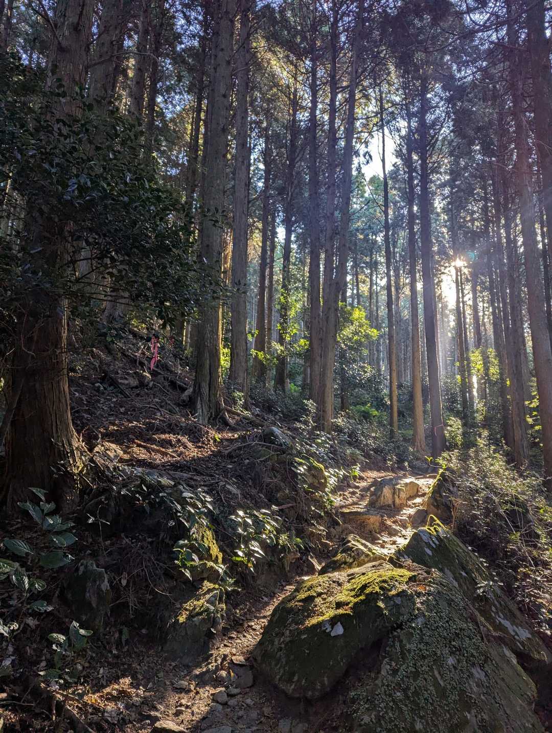 とっても綺麗✨