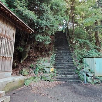 今、「蜂に刺されたので帰る」と言われる方とすれ違いました・・・。
今日は「女坂」から行く事にします。