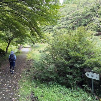 登山口に入ります