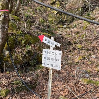 すぐ横から登ります