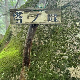 塔ノ峰
