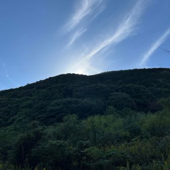 気持ち良かったです