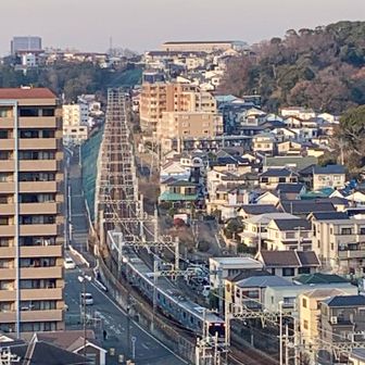 小田急江ノ島線の電車も見えます🚃