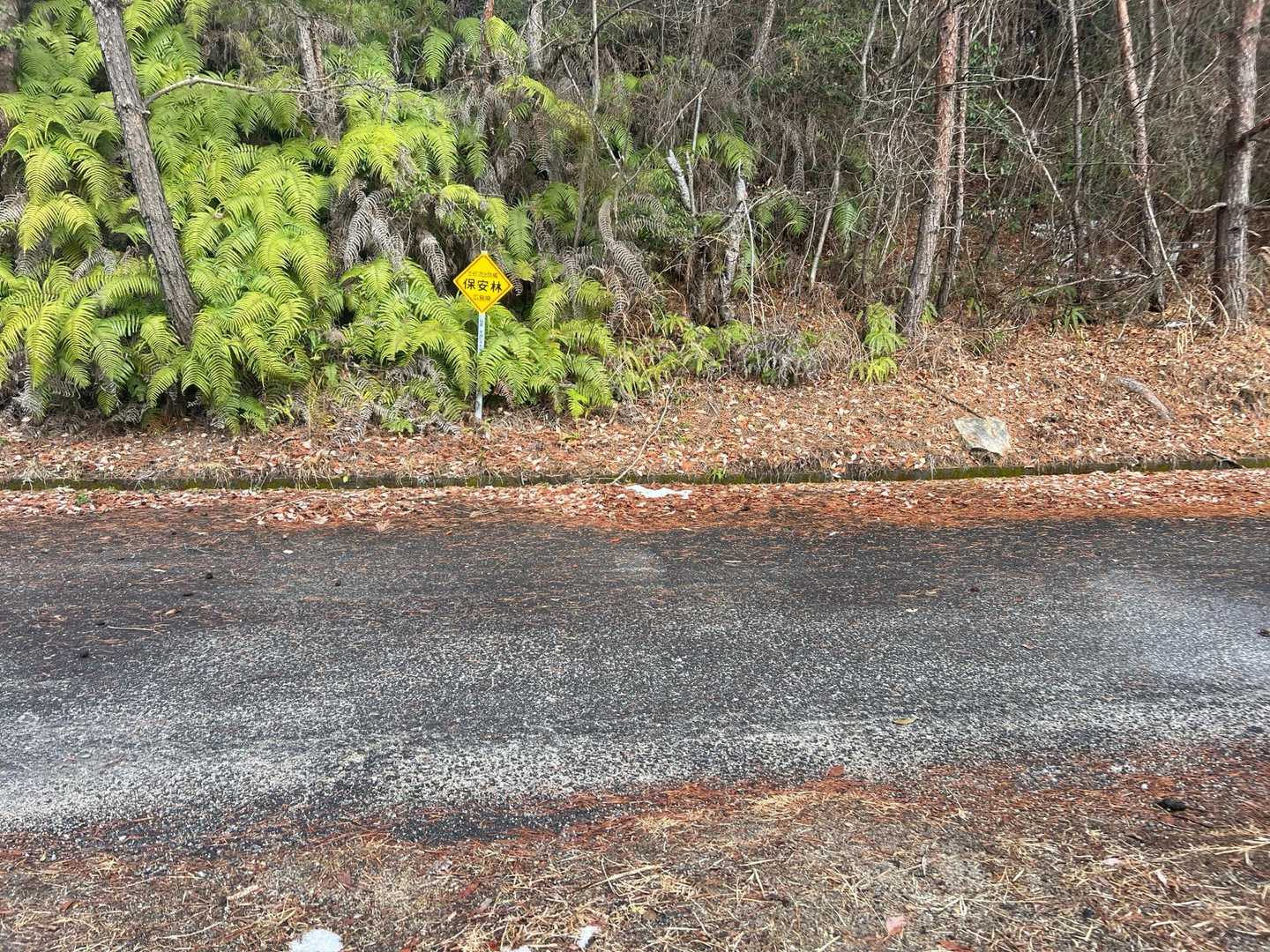一旦道路