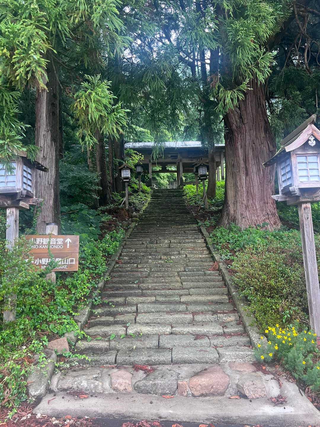 小野岳 往復コースの写真