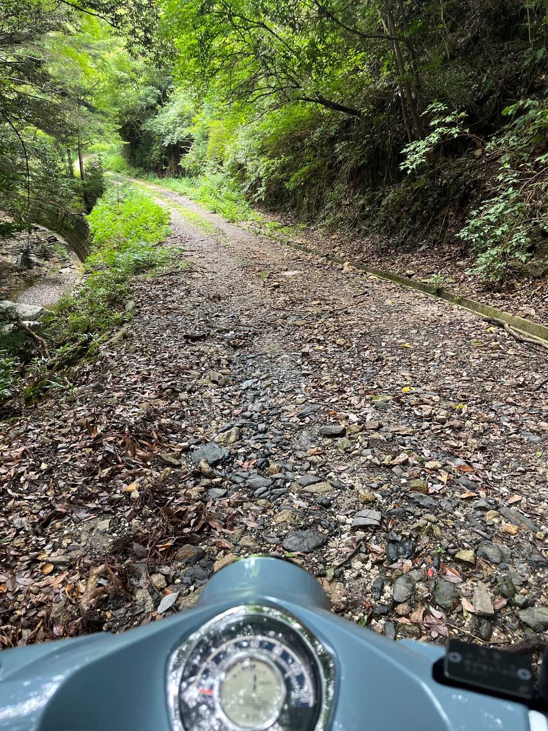 登山口までは砂利道で車は行き違いできない場所が多いかな。