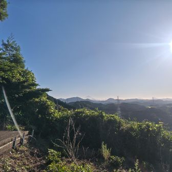 四つん這いさん