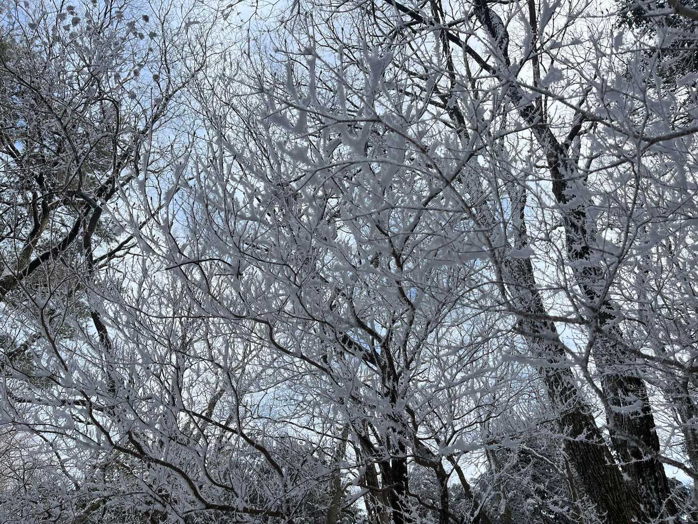 ❄️