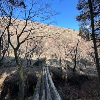 一気に降りて、山道歩きを選択…♬