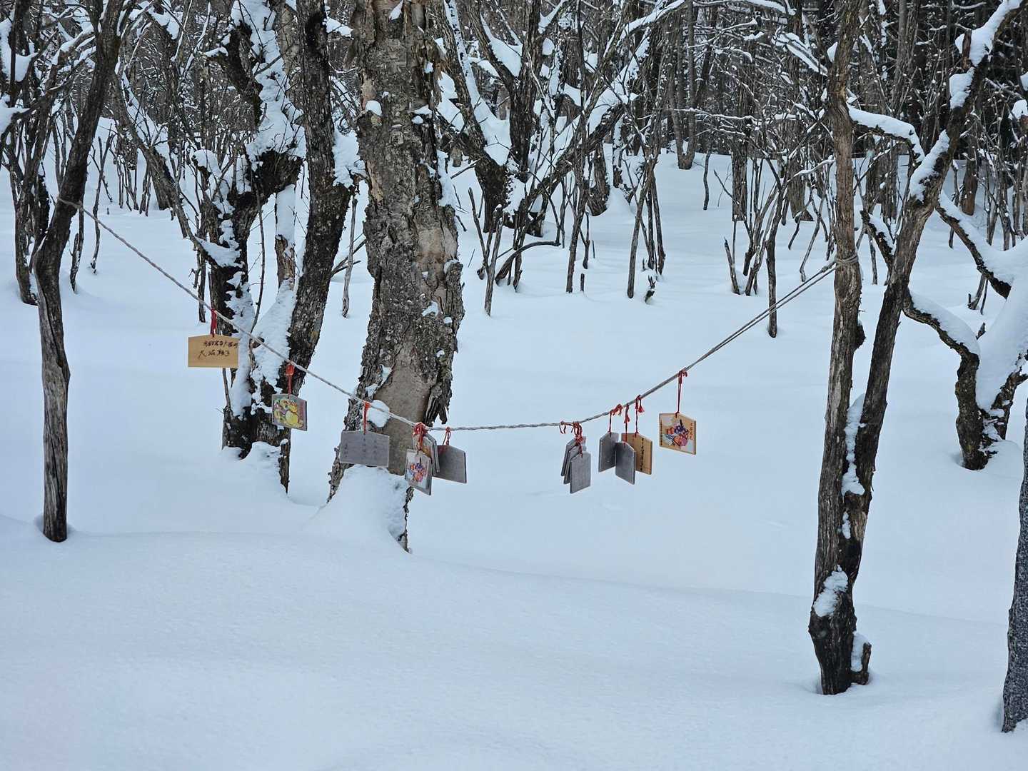 絵馬があったー
次来る時は持ってこよう！
お願い事は4トンダンプに衝突されませんように🙏
車が大破しませんように