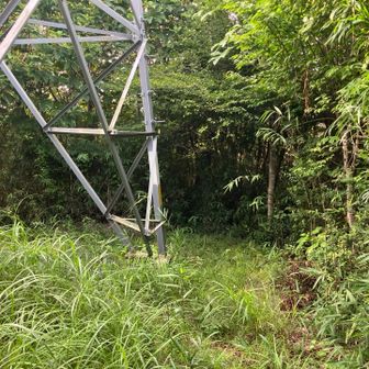 ここが見晴台兼山頂。。何も見えん😕
