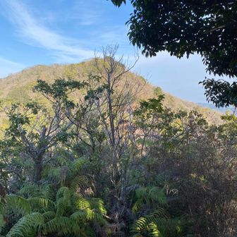 あれは万石山かな？