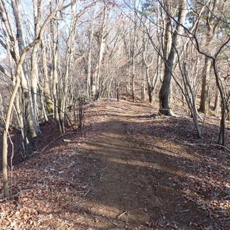 到着時刻予測によれば、想定より早いバスに乗れる。
終盤とは思えないペースで、時々小走りになりつつ急ぐ。