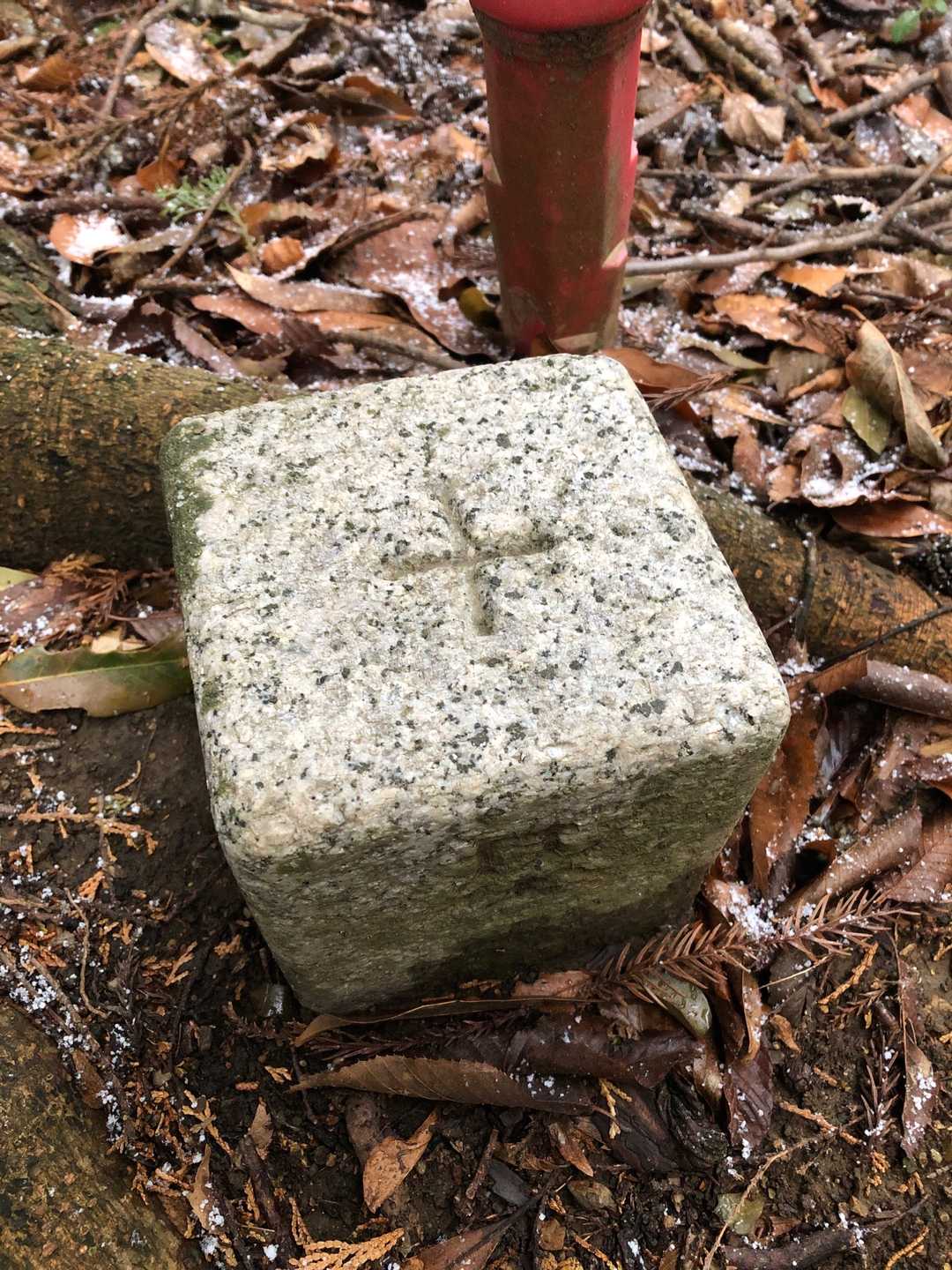 ここを茶臼山山頂とします⛰
眺望はありません😌　カンバンも無し🪧