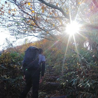 ヤマスギ🦵💦