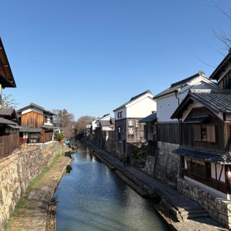 近江八幡らしい水郷