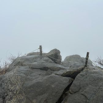 この通り山頂はガスガスっす！