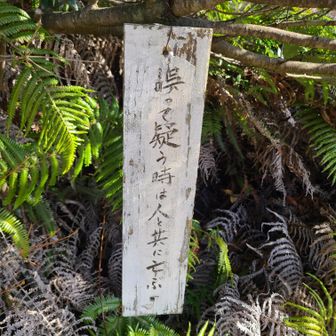 むやみやたらと人を疑うことはダメですね🙅‍♀